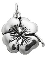 Charm Giovanni Raspini Charms in Argento 06010 - 06010